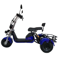 Электроскутер CityCoco Trike GT X6 PRO 