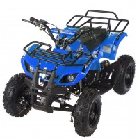 Квадроцикл Motax ATV Mini Grizlik X-16 (мех.) Синий